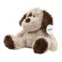 Dog Sönke - light brown