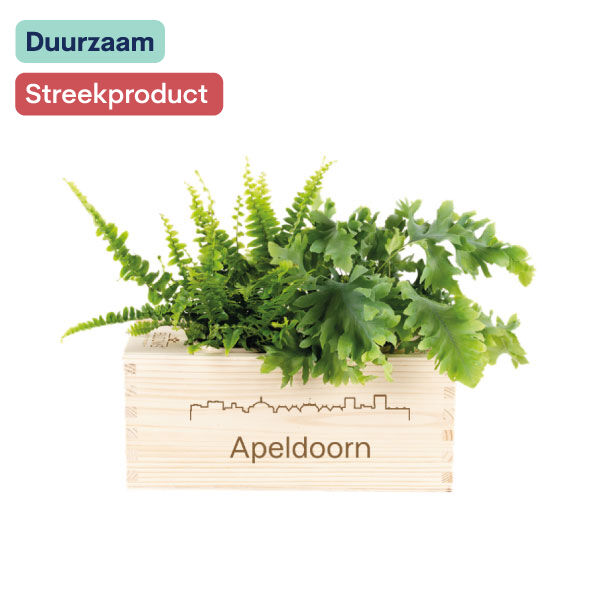 Bloomsbox I M I Apeldoorn