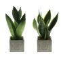 Congreet® plantpots large, Zonder verpakking