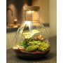 Wardians® Ecosystem - Erlenmeyer large + LED, Zonder verpakking