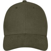 Davis 6 panel cap - Bosgroen