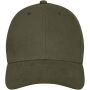Davis 6 panel cap - Bosgroen