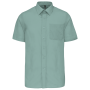 Overhemd in onderhoudsvriendelijk polykatoen-popeline korte mouwen heren Sage 4XL