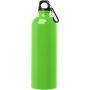 Oregon 750 ml RCS certified single wall stainless steel water bottle with carabiner - Apple green