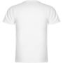 Samoyedo herenshirt met V-hals en korte mouwen - Wit - L