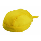 Geel
