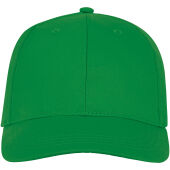 Ares 6 panel cap - Varengroen