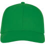 Ares 6 panel cap - Varengroen