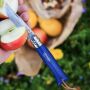 Opinel Colorama No 08 zakmes in een  riemetui - blauw