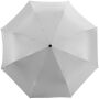 Alex 21,5'' opvouwbare automatische paraplu - Zilver/Zwart