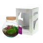 Wardians® Ecosystem - Bowl medium + LED, Zonder verpakking