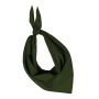Fiesta - Bandana olive one size