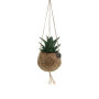 Kokodama® - Easy care mix (S), Zonder verpakking