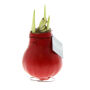 No Water Flowers® - Waxz® Colours, In giftbox, Rood