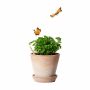 Sproutworld Sharpened Pencil potlood