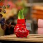 No Water Flowers® - Fashionz Love mix, Zonder verpakking