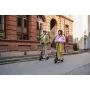 Segway Ninebot Kickscooter E2 E II (Zwart)