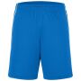 Basic Team Shorts royal/white XXL
