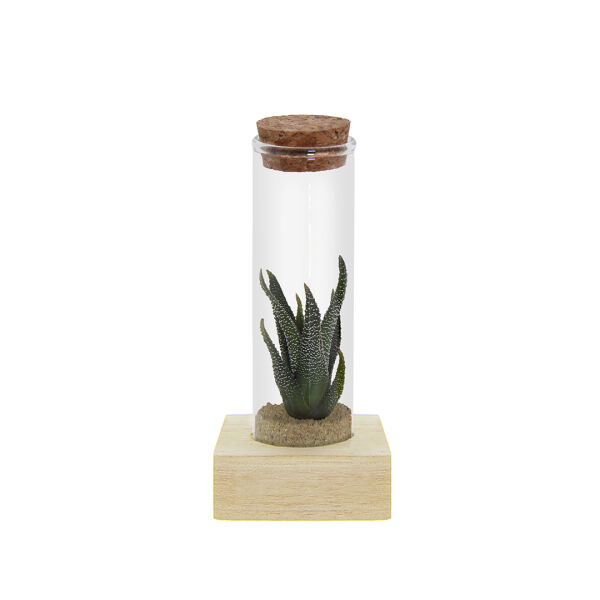 Tiny Treasurez® - Single tube & wood
