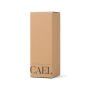 VINGA Cael RCS SS drinkfles 600ML, wit