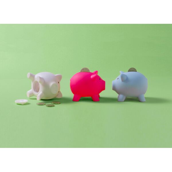 PVC spaarvarken Roger wit PVC spaarvarken Roger wit