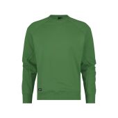 Olmgroen