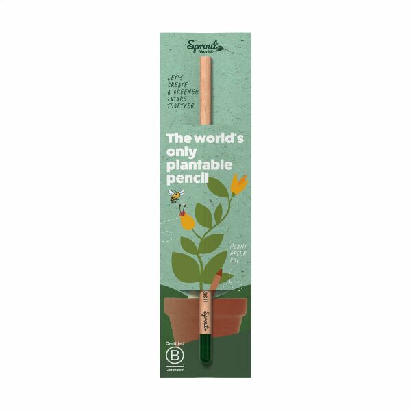Einzelne Header-Karte für Sproutworld-Bleistift Einzelne Header-Karte für Sproutworld-Bleistift