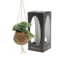 Kokodama® - Green mix (S), Zonder verpakking