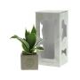 Congreet® plantpots small, In giftbox