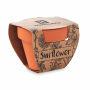 SUNFLOWER - Potje Zonnebloem - Hout