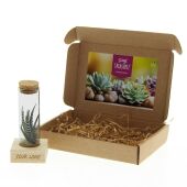 Tiny Treasurez® - Single tube & wood in brievenbusdoosje