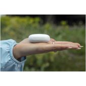 Boompods Echowave True Wireless-oordopjes - Wit Boompods Echowave True Wireless-oordopjes - Wit