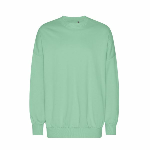 Neutral Tiger Cotton Oversized Sweatshirt_Dusty Mint_XS Neutral Tiger Cotton Oversized Sweatshirt_Dusty Mint_XS