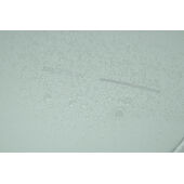 Bobby Edge, anti-diefstal rugzak, iceberg green, grijs Bobby Edge, anti-diefstal rugzak, iceberg green, grijs