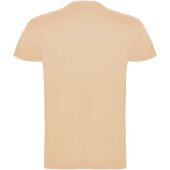 Beagle herenshirt met korte mouwen - Angora - 2XL