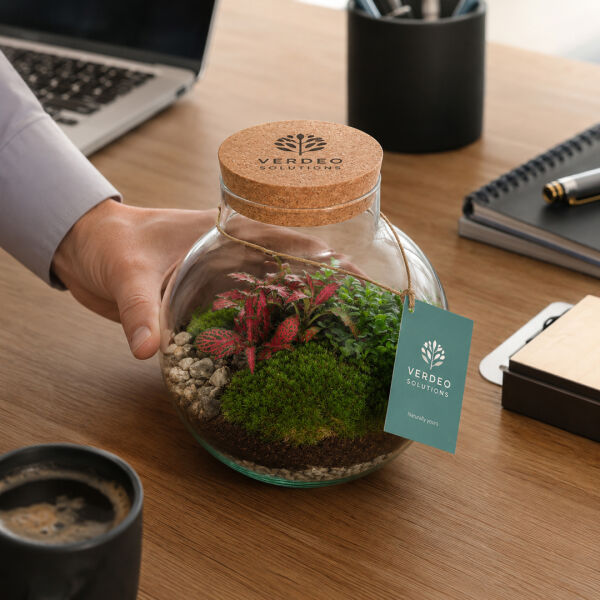 Wardians® Ecosystem - Bowl medium, Zonder verpakking Wardians® Ecosystem - Bowl medium, Zonder verpakking