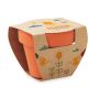 Terracotta pot (verkrijgbaar in 4 maten) met zaden naar keuze en aangepaste verpakking