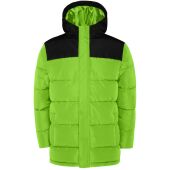 Lime/Zwart