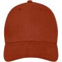 Davis 6 panel cap - Brick