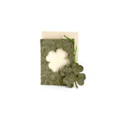 Defence Green