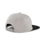 Pet Snapback - 6 panelen Light Grey / Black One Size