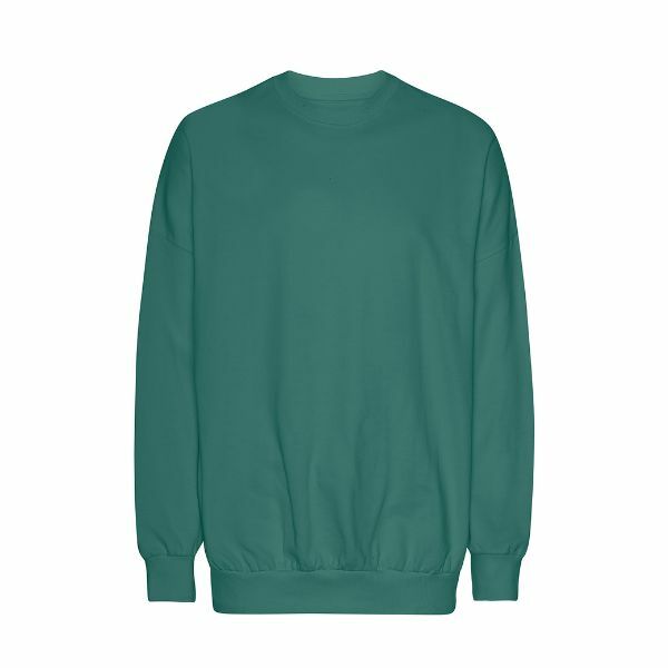 Neutral Tiger Cotton Oversized Sweatshirt_Teal_XS Neutral Tiger Cotton Oversized Sweatshirt_Teal_XS