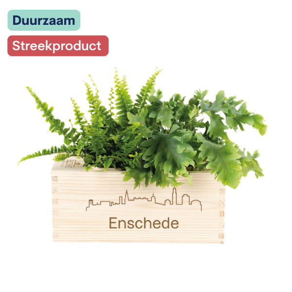 Bloomsbox I M I Enschede