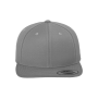 Classic Snapbackpet SILVER One Size