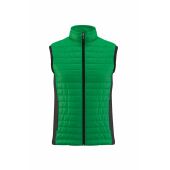 jelly green/black