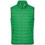 Men's Down Vest fern green/silver 3XL