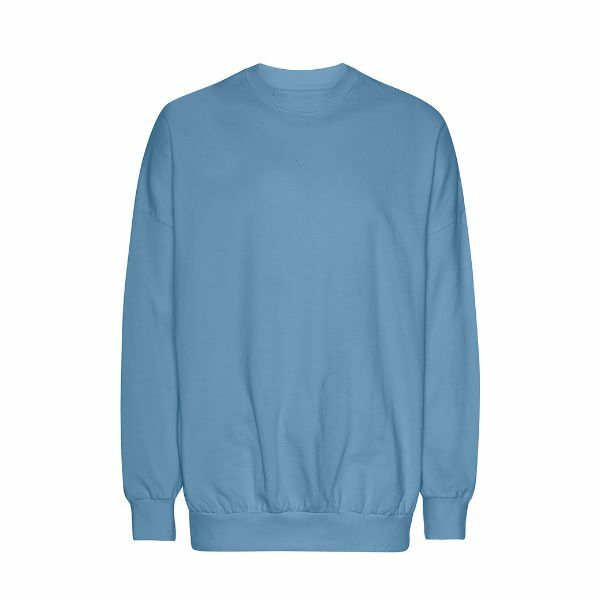 Neutral Tiger Cotton Oversized Sweatshirt_Dusty Indigo_XS Neutral Tiger Cotton Oversized Sweatshirt_Dusty Indigo_XS