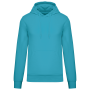 Ecologische herensweater met capuchon Sea Turquoise 5XL Ecologische herensweater met capuchon Sea Turquoise 5XL