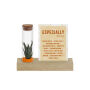 Tiny Treasurez® - Cardholder & tube, Oranje