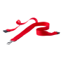 Savent - lanyard